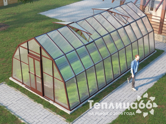 Теплица Рада Каспий из поликарбоната, 4х8 метров, коричневая